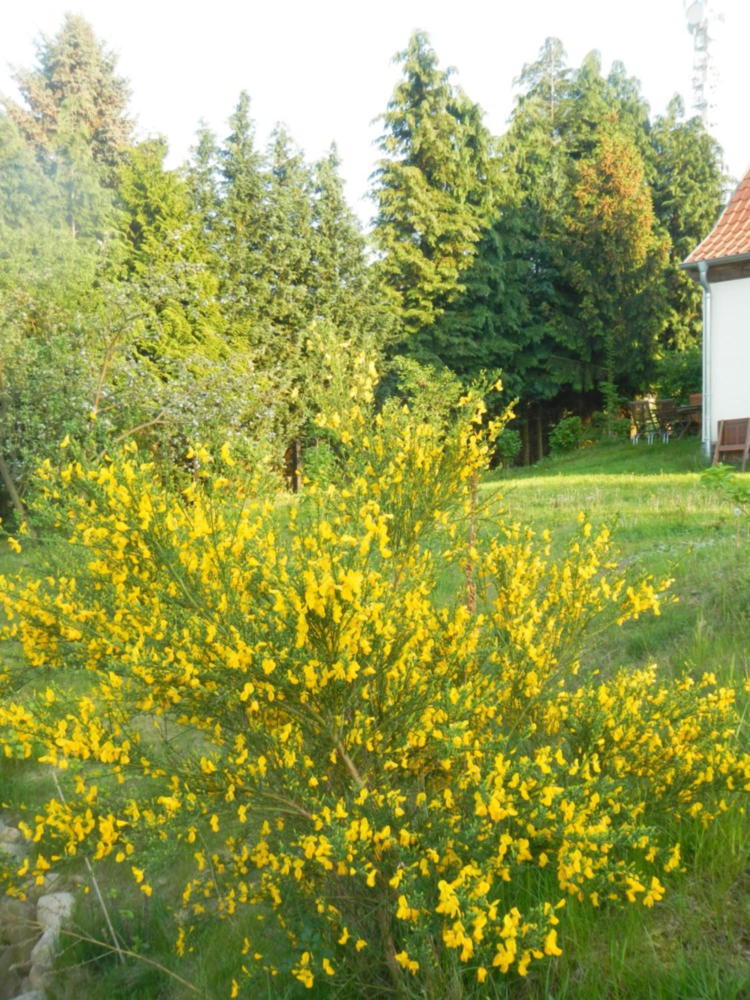 Ferienlandhaus Zempow Buitenkant foto