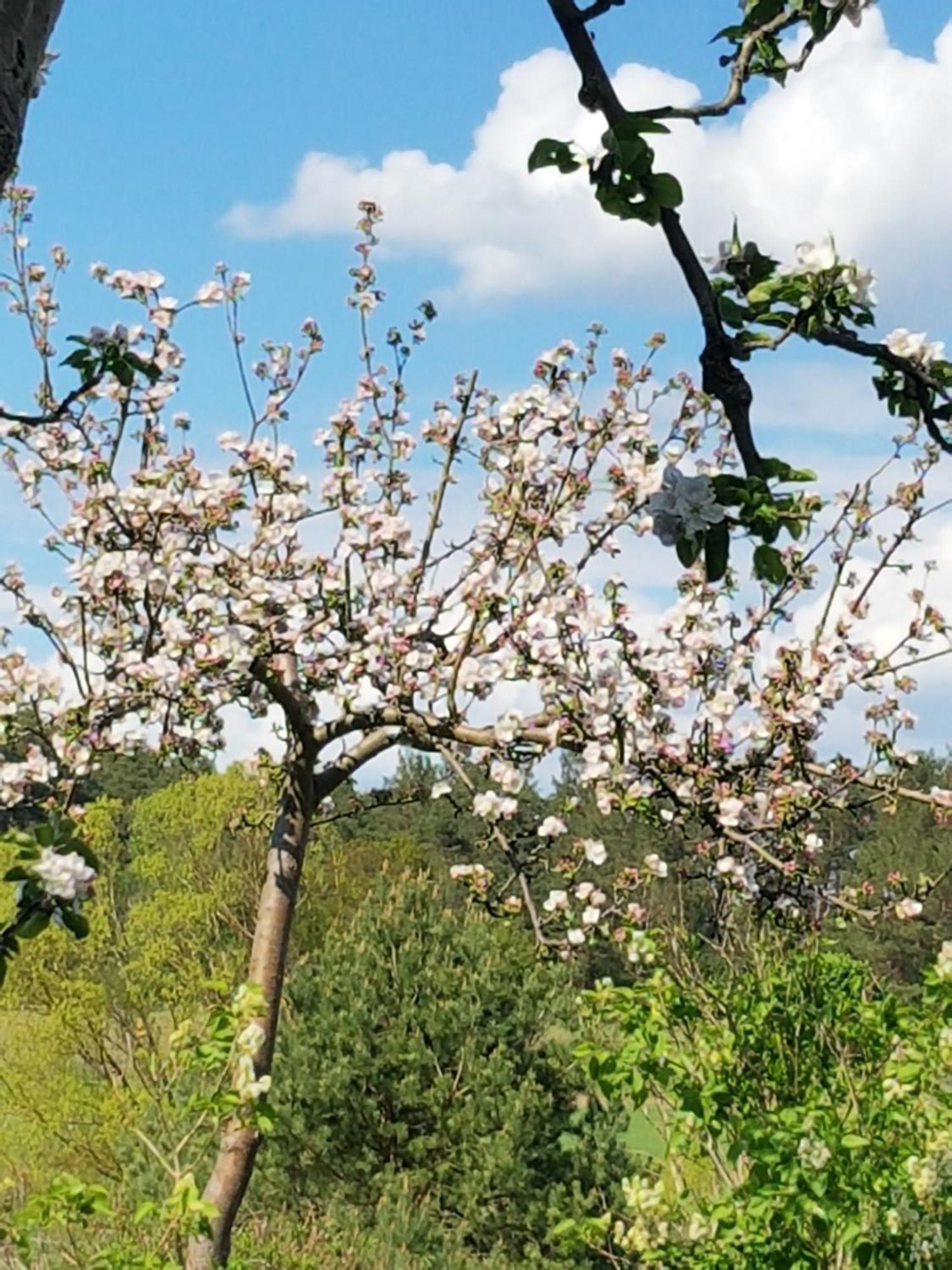 Ferienlandhaus Zempow Buitenkant foto