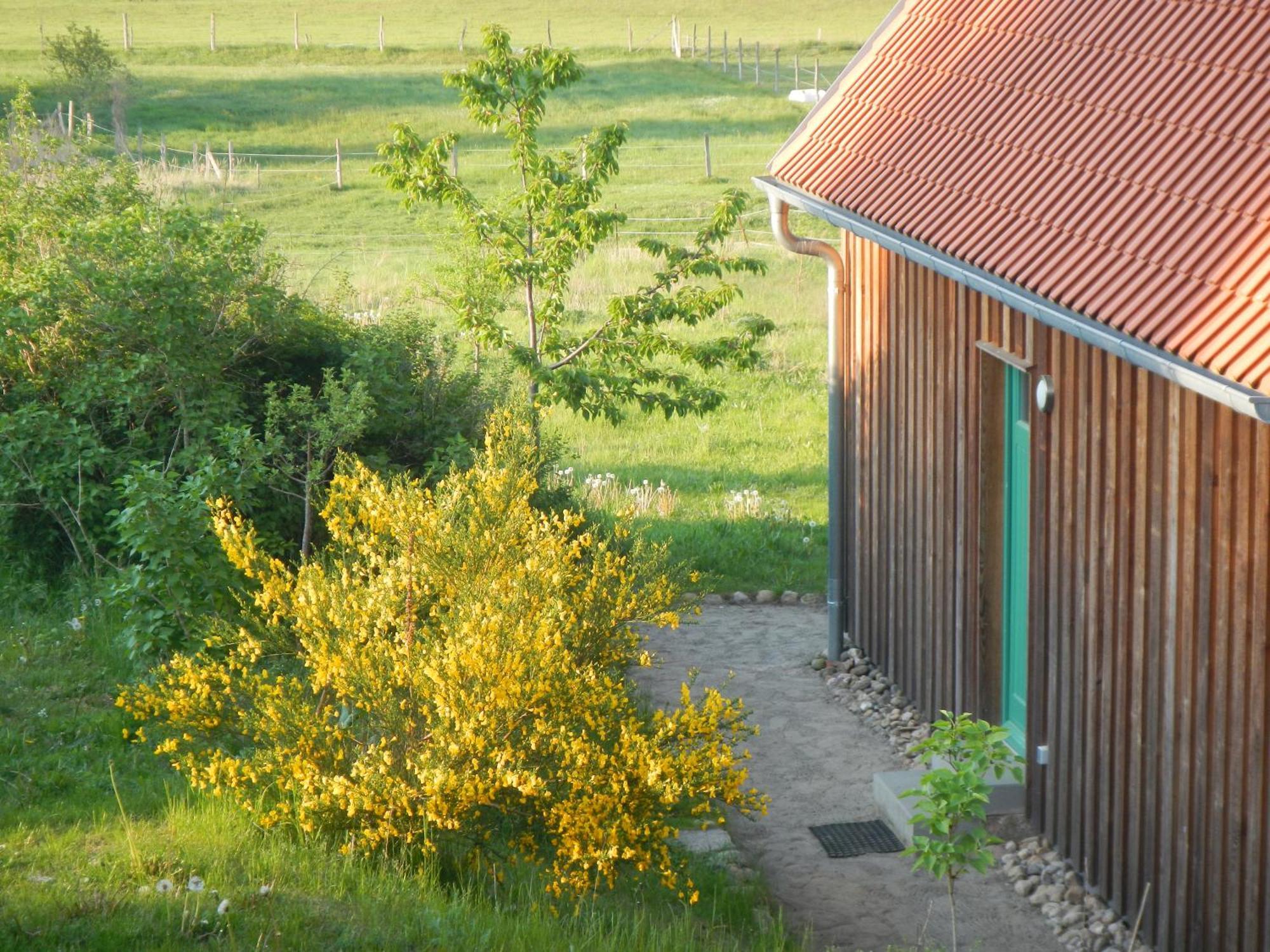 Ferienlandhaus Zempow Buitenkant foto