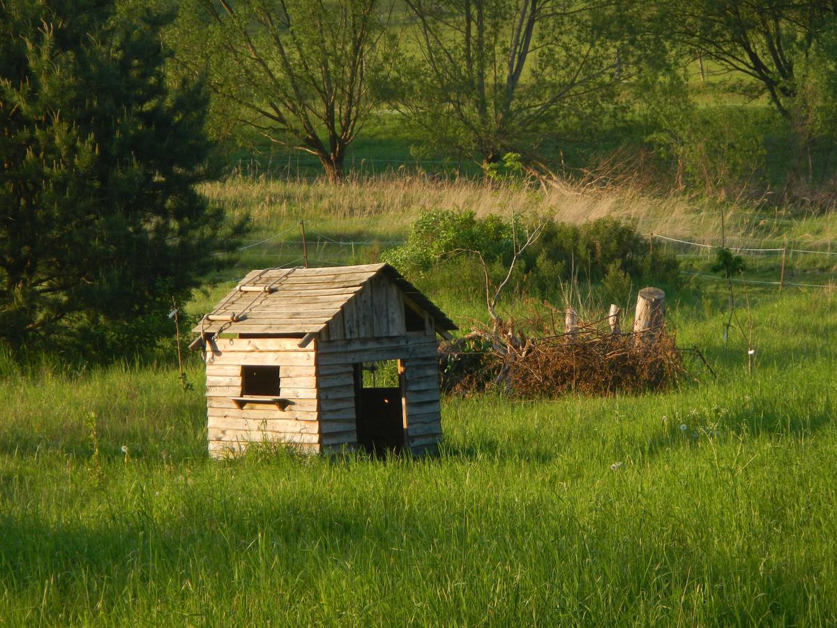 Ferienlandhaus Zempow Buitenkant foto
